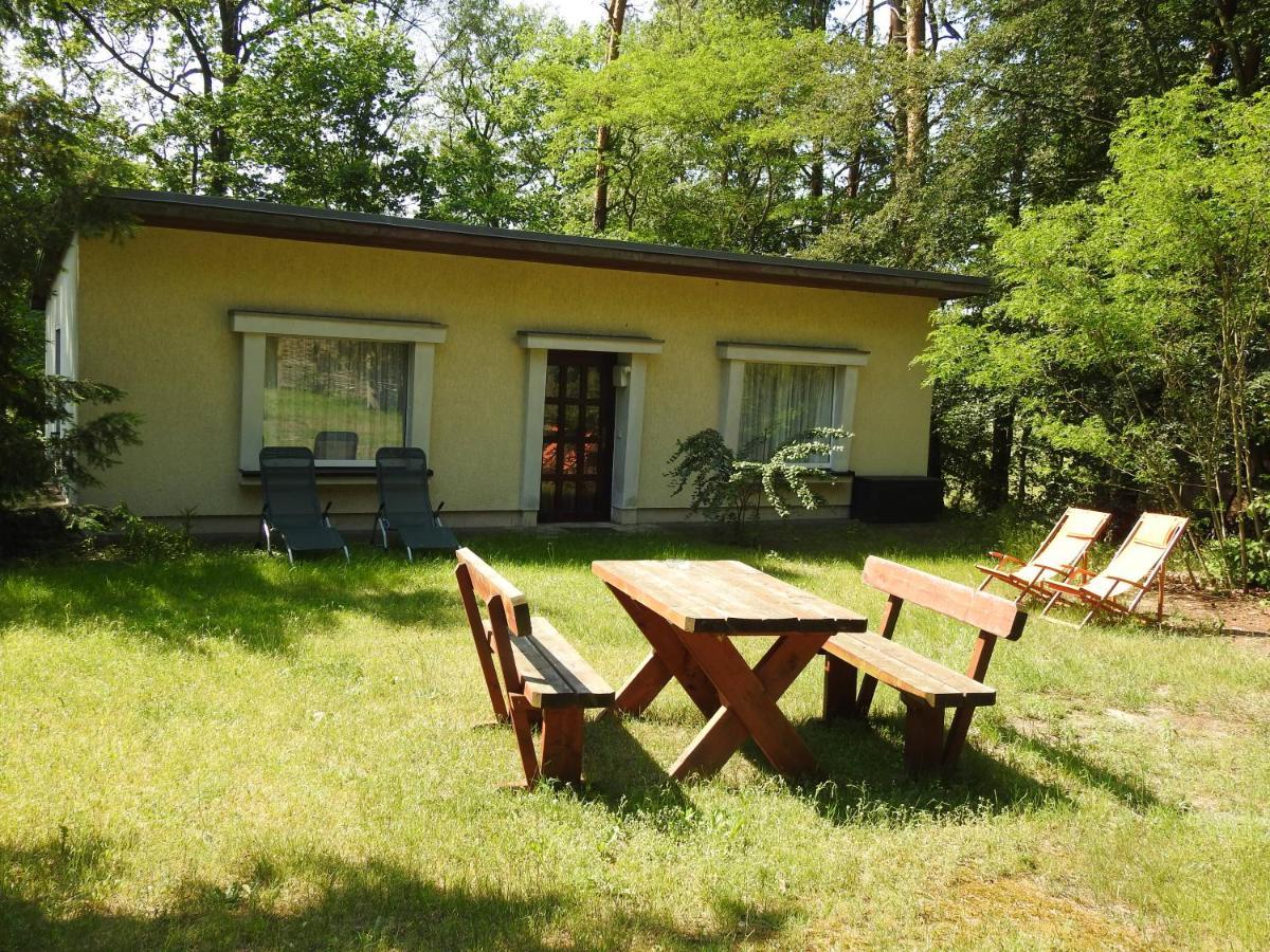 Haus Waldfrieden Apartment Бад Заров Екстериор снимка
